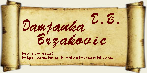 Damjanka Brzaković vizit kartica
